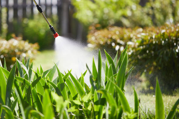 24/7 Emergency Fumigation Services experts in Barron, WI