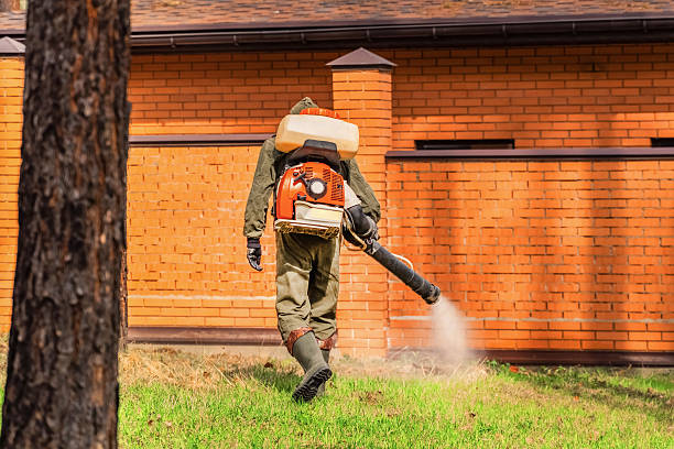 Trusted Ant Control service in Barron, WI - Nex Pest Control